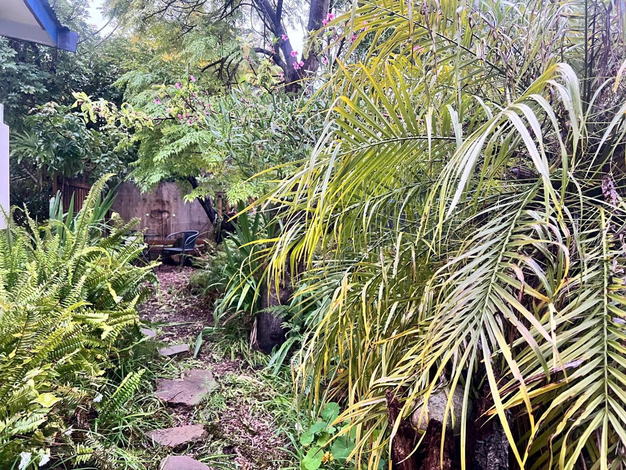 Magic Secret Garden Shack Apartment Port Lincoln Exterior photo